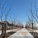 도시상징광장 이미지