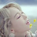 헤어디바 이미지