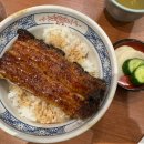 시험 보러 간김에 3박 4일 도쿄 여행 | 신주쿠, 신바시, 긴자, 시부야 맛집