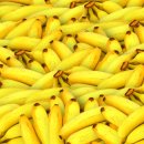 오늘야채오늘과일 - 동대문구 전농로 125-1 | 오늘야채오늘과일