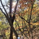 용소 Daum카페