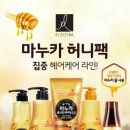 허니헤어 이미지