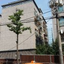 신월동130 이미지