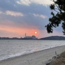 서서천농업협동조합 서면지점 | 충남 서천 오토캠핑장|해오름관광농원야영장|바닷가 노을 뷰가 있는 가성비 캠핑장|내돈내산