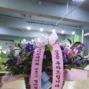 이든네이처대구 이미지