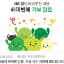 한바다낚시할인마트 앞 | [강문해변 낚시] 강릉 1박2일 솟대다리 앞 강문해변 원투낚시 후기
