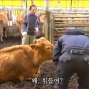 찬샘