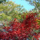 산림문화휴양관 이미지