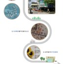 순국열사 추모길 이미지