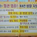 50+실버건강체조 이미지