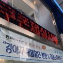 반하다펫 이미지