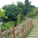 힐링올레 이미지