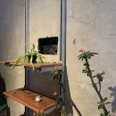 [대구 봉산동] 대구신상카페 / 딥커피로스터즈(Deep Coffee Roasters) 에스프레소 맛집 ㅇㄱㄹㅇ요 방문...