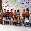 종달새어린이집 네이버블로그