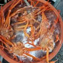 한마음직판장 이미지