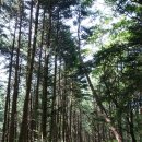 ♡[원주]雪景트레킹.금강소나무숲길.안흥찐빵(1월4일/토)신청하세요♡ 이미지