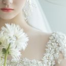 비비드블랑 이미지