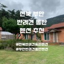 부안 애뜰 펜션 이미지