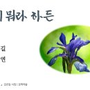 [책 읽는 나무] 1. 붓꽃이 뭐라 하든 - 김선길 시집 『나무 아래 바람으로』 이미지