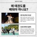 국가대표 타이거 태권스쿨 | 강릉시 율곡초앞 국가대표타이거태권스쿨을 추천합니다.