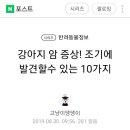 강아지 암 증상 조기발견할수 있는 10가지 이미지