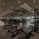 버클다운짐 탄현점 이미지