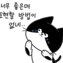 멜버른승마 이미지