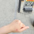 역곡3동 행정복지센터 이미지