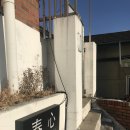 남부시장 입구 횡단보도 이미지