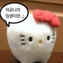 나는 지금 슈퍼챗매니저가 필요하다.