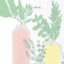 비비엘 네이버블로그