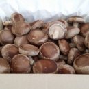 창선농장 이미지