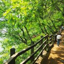 작은나무 큰숲도서관 이미지