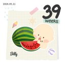 용호탕 | [임신기록] 임신일기 임신말기 임신후기증상 임신 39주차 ( 39주 4일차 이슬이 비치다 )