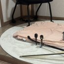 꼬기어때&커피(인계점) | 2025.11 막주, 잘가라 가을아