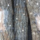 배양태양광발전소 이미지