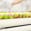 덕흥축산 이미지