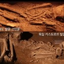 모계골 Daum카페