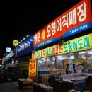 경포배오징어 이미지