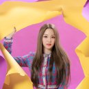 우아우아 이미지