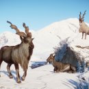 (주)플래닛 이미지