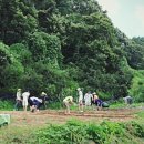 새터공동체 이미지