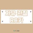 자유카 이미지