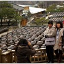 서일여행 이미지