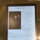 위례 골프연습장 W505 골프아카데미 시설 및 골프레슨 후기