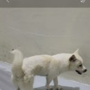 최종주동물병원 이미지