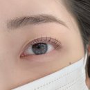 셀러브뷰티 | [압구정/신사역] 셀러브뷰티 짧은 속눈썹펌 경주디자이너 후기 리뷰