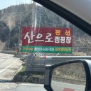 [강원]홍천 4월초 벚꽃캠핑 산으로캠핑장 7사이트 1박 2일 데크사이트 캠핑 후기(+지프 우드랜드)