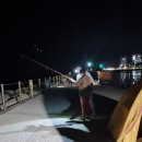 장사항 낚시점 이미지