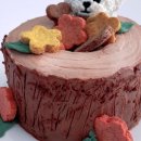 몽몽드림 이미지